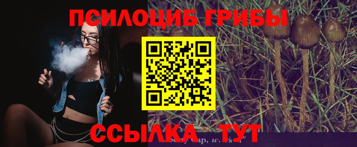 Галлюциногенные грибы прущие грибы Сатка